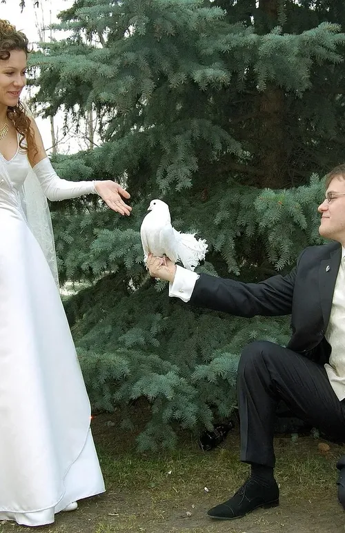 Married to A Balla